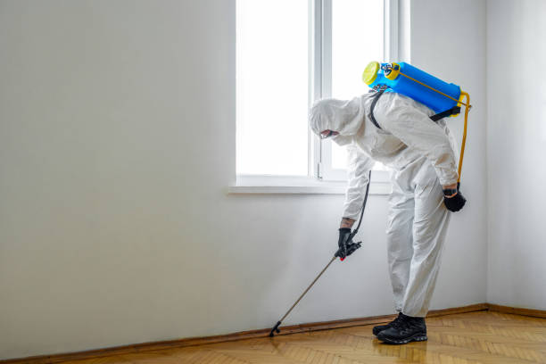 Best Bed Bug Extermination  in Raymond, IL