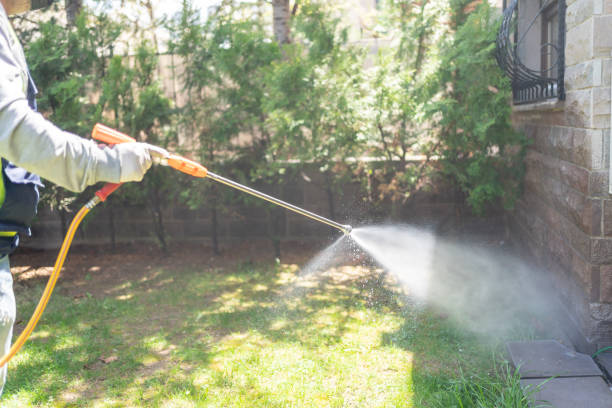 Best Local Pest Control Services  in Raymond, IL