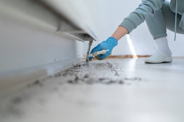 Best Best Pest Control Companies  in Raymond, IL